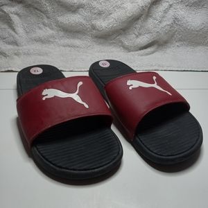 Puma slides